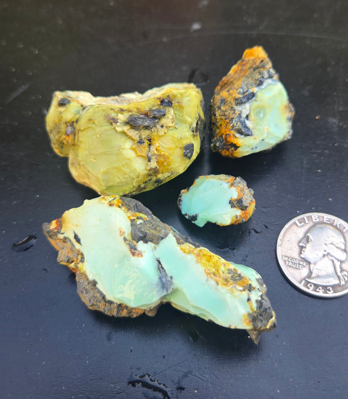 Gecko Variscite rough for cabbing -Natural Nevada Variscite- 100 grams lot 1