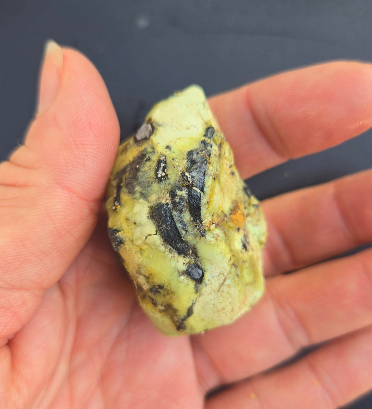 Gecko Variscite rough for cabbing -Natural Nevada Variscite- 100 grams lot 1