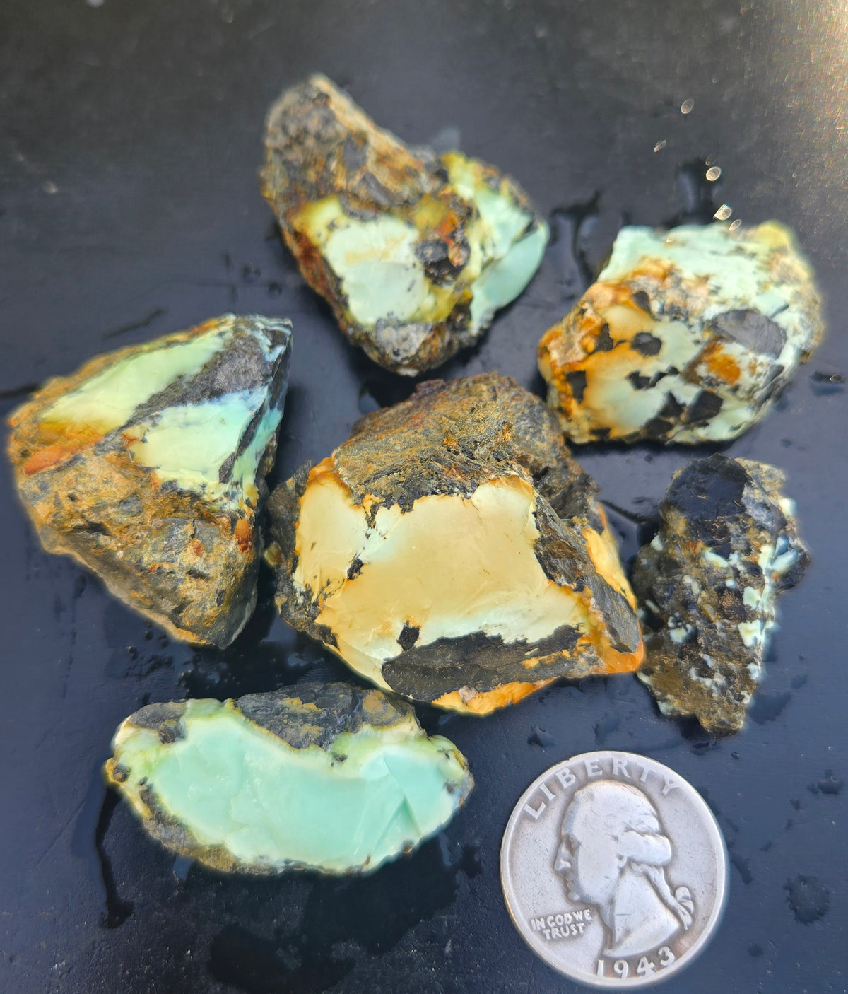 Gecko Variscite rough for cabbing -Natural Nevada Variscite- 100 grams lot 2