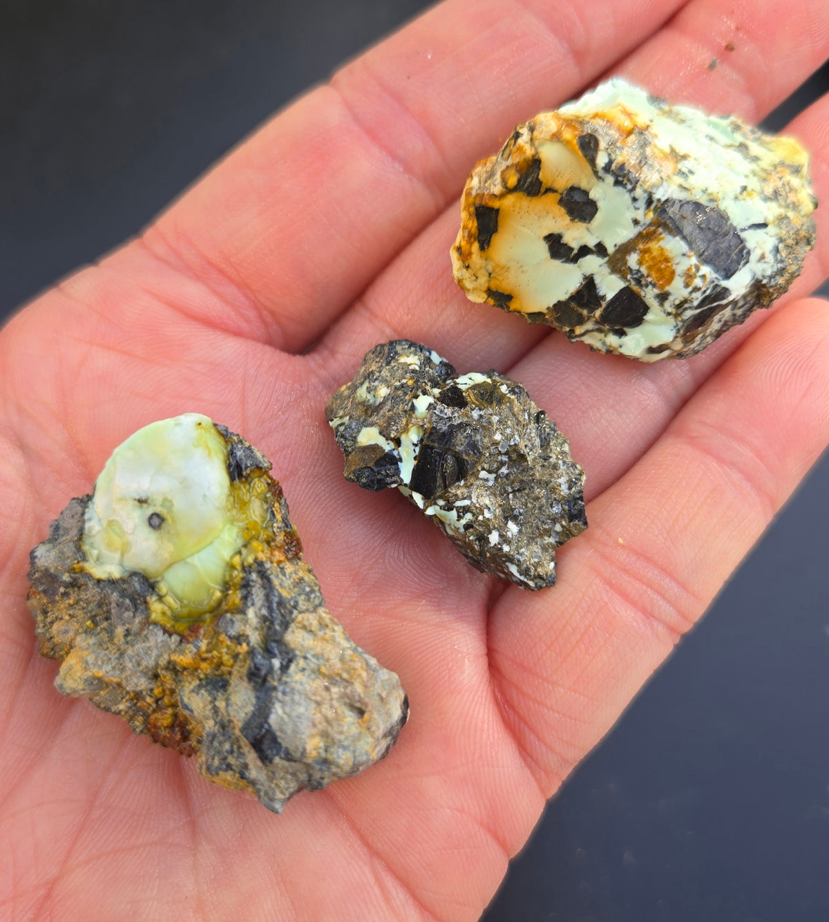 Gecko Variscite rough for cabbing -Natural Nevada Variscite- 100 grams lot 2