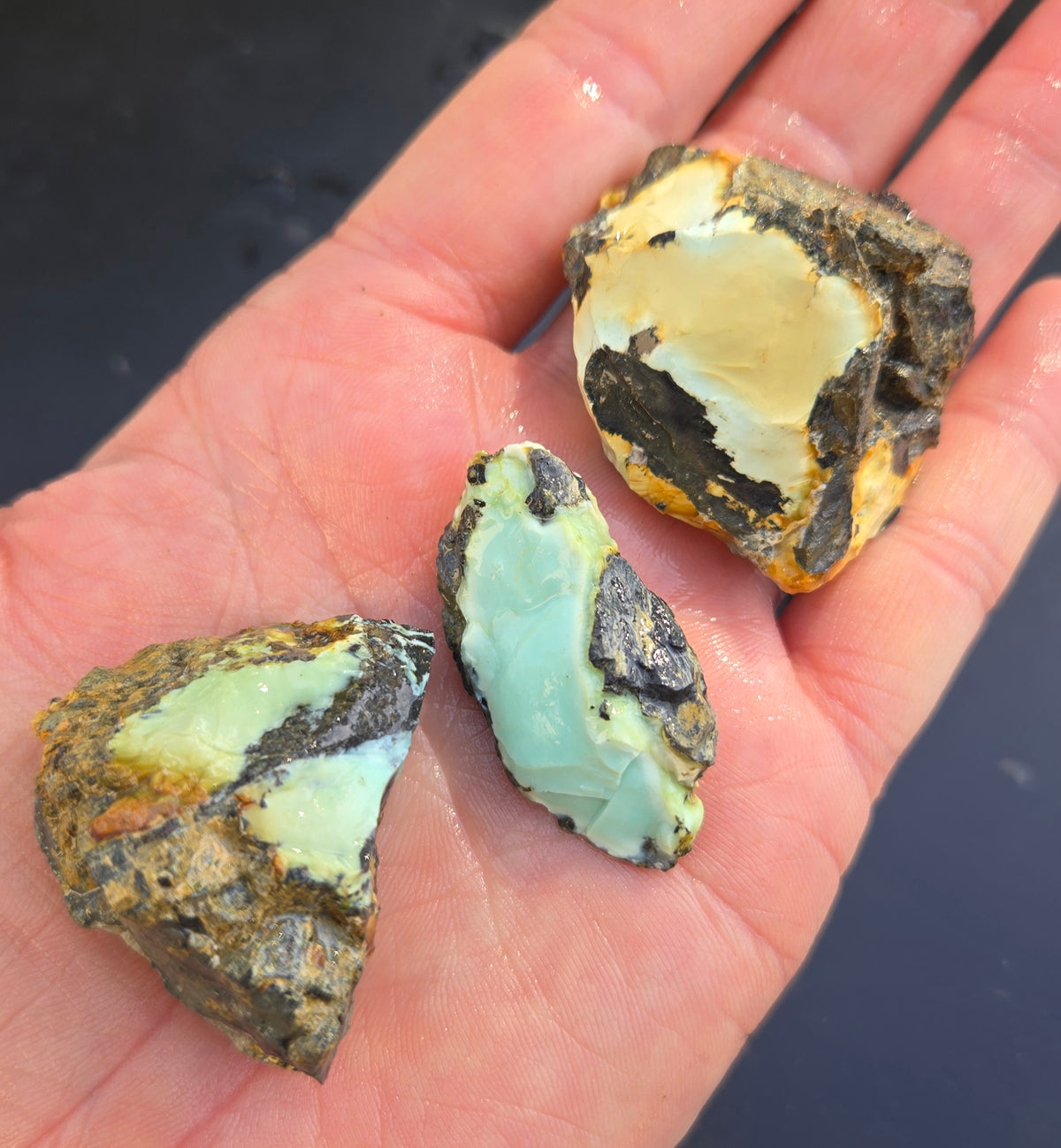 Gecko Variscite rough for cabbing -Natural Nevada Variscite- 100 grams lot 2