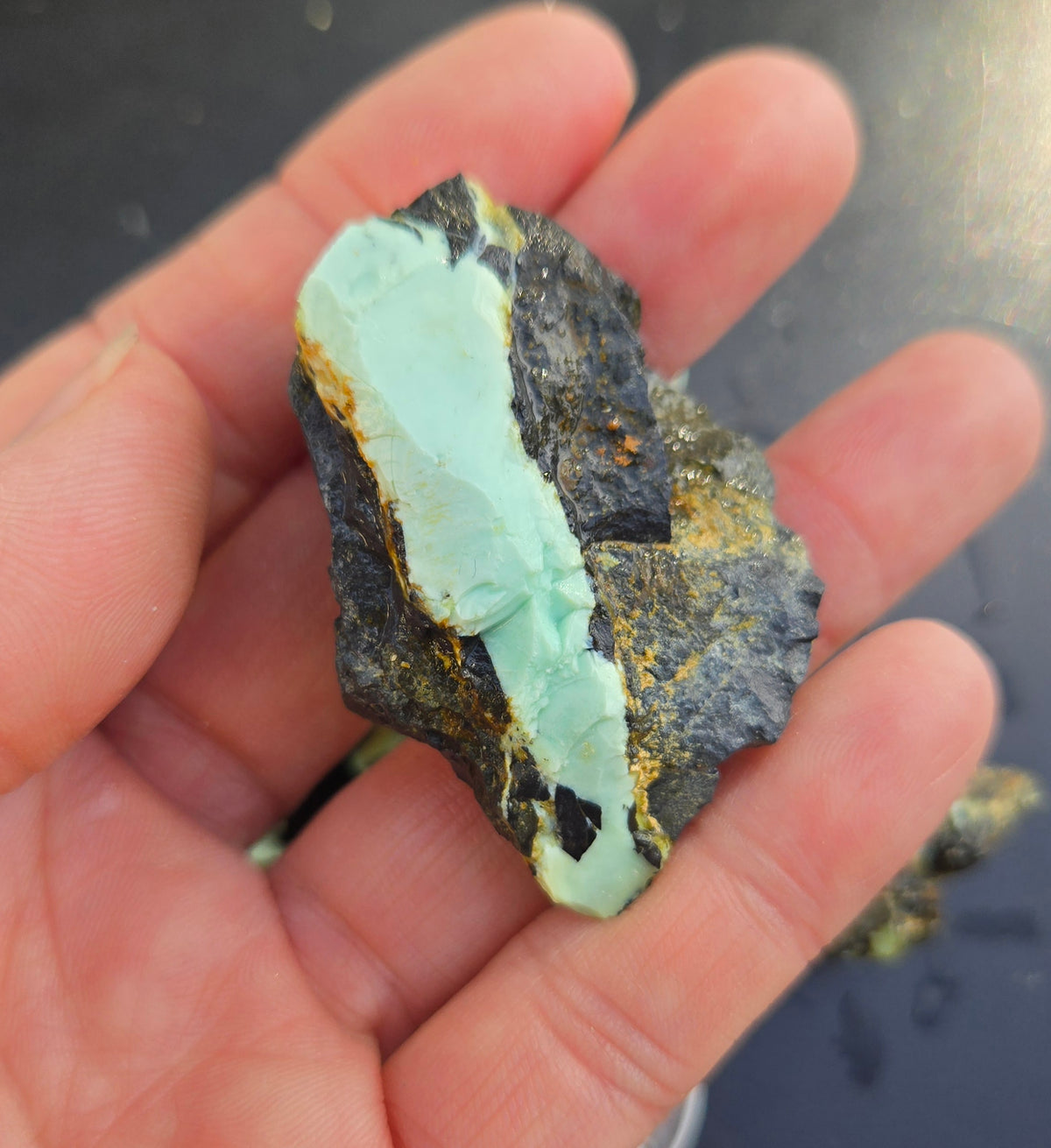 Gecko Variscite rough for cabbing -Natural Nevada Variscite- 100 grams lot 3