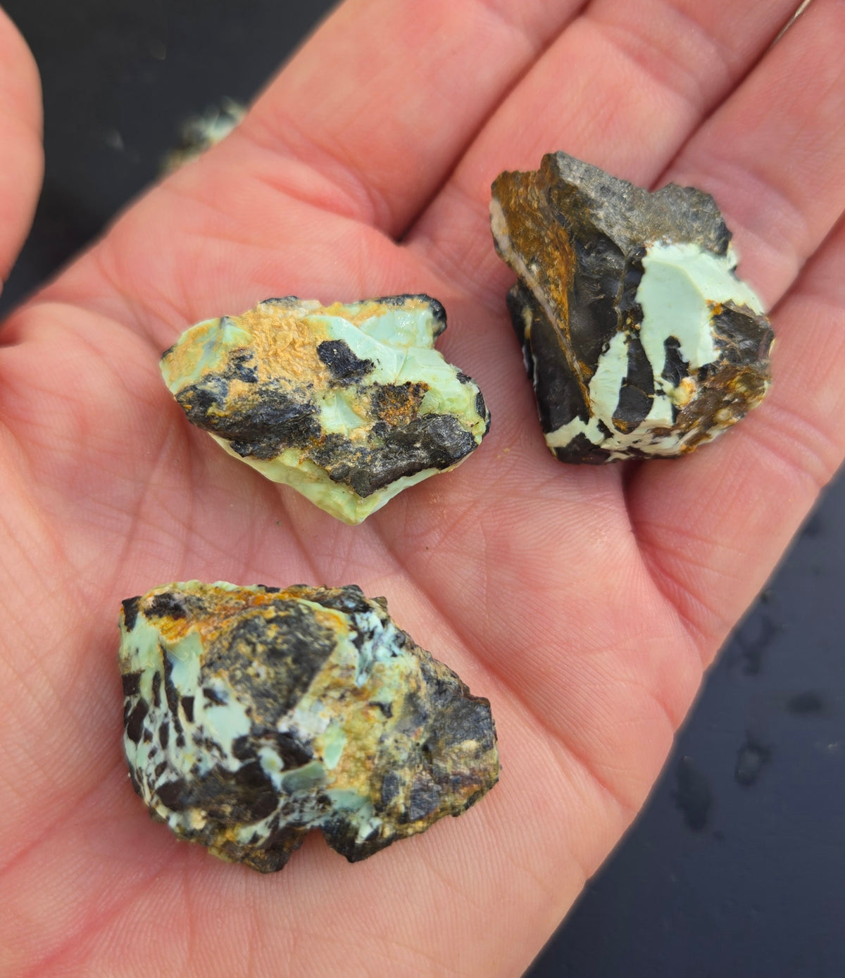 Gecko Variscite rough for cabbing -Natural Nevada Variscite- 100 grams lot 3