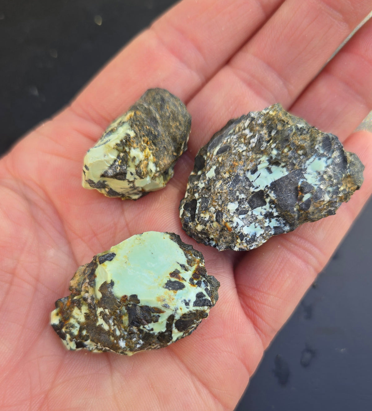 Gecko Variscite rough for cabbing -Natural Nevada Variscite- 100 grams lot 3