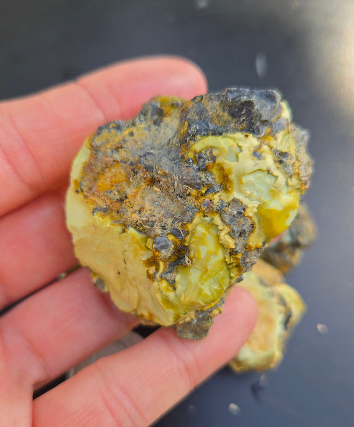 Gecko Variscite rough for cabbing -Natural Nevada Variscite- 100 grams lot 4