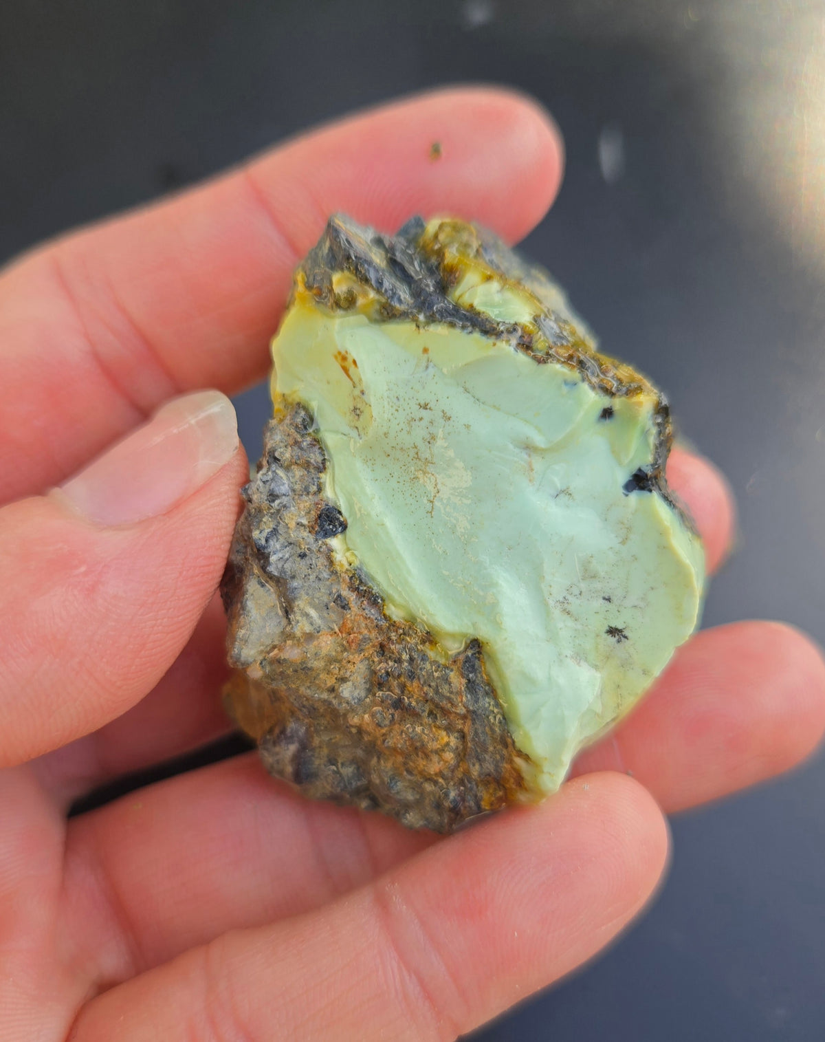 Gecko Variscite rough for cabbing -Natural Nevada Variscite- 100 grams lot 4