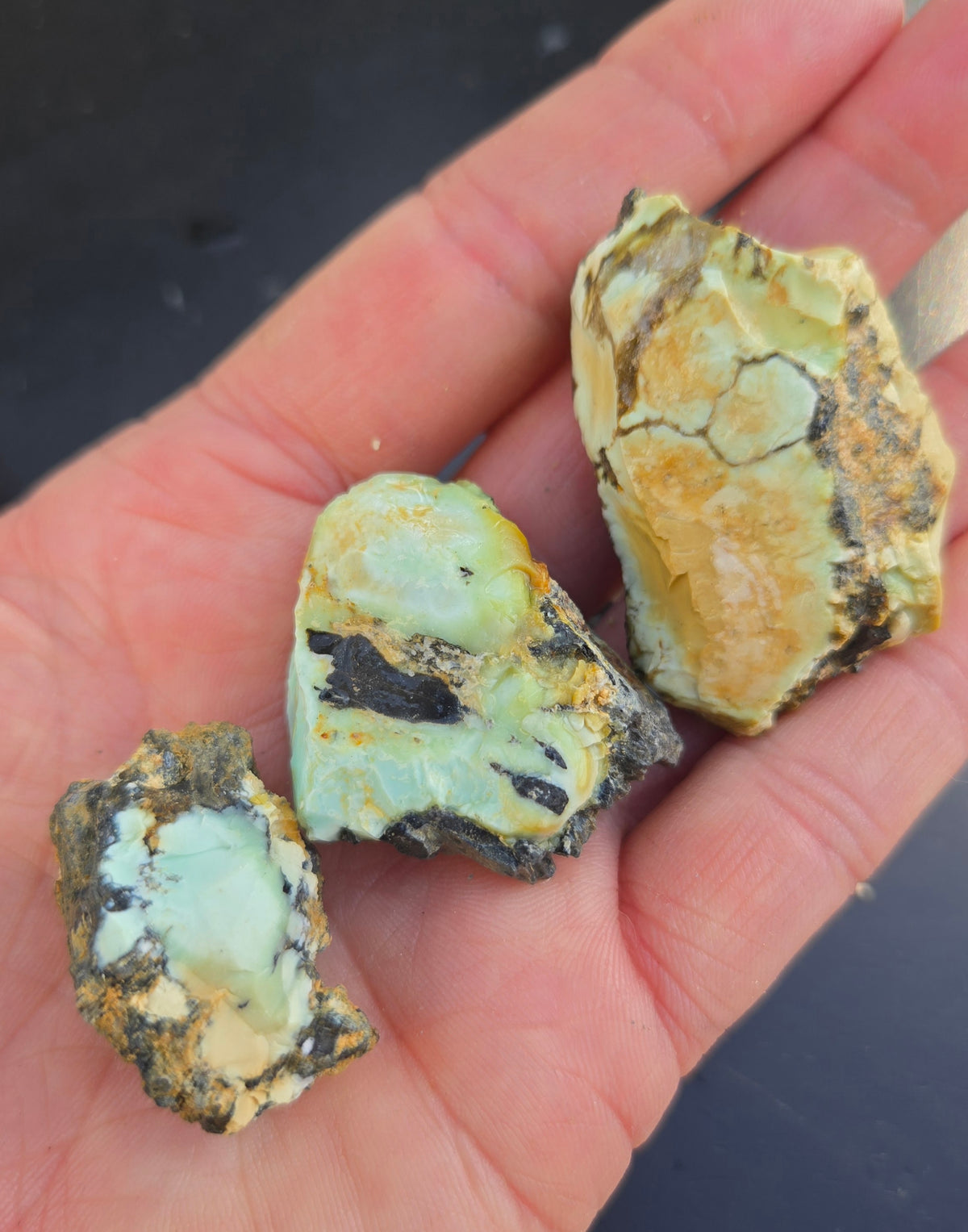 Gecko Variscite rough for cabbing -Natural Nevada Variscite- 100 grams lot 4