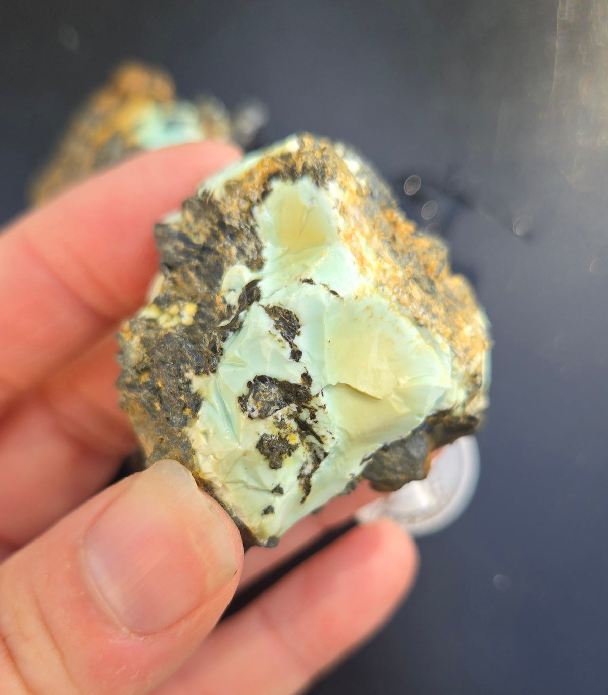Gecko Variscite rough for cabbing -Natural Nevada Variscite- 100 grams lot 5