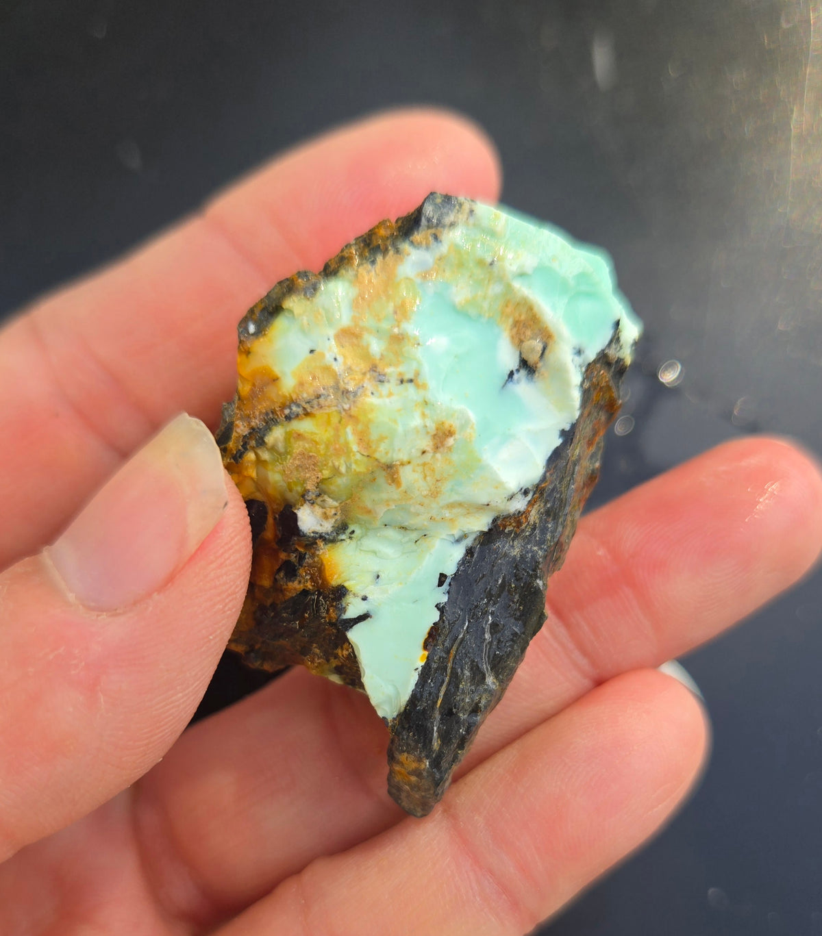 Gecko Variscite rough for cabbing -Natural Nevada Variscite- 100 grams lot 5
