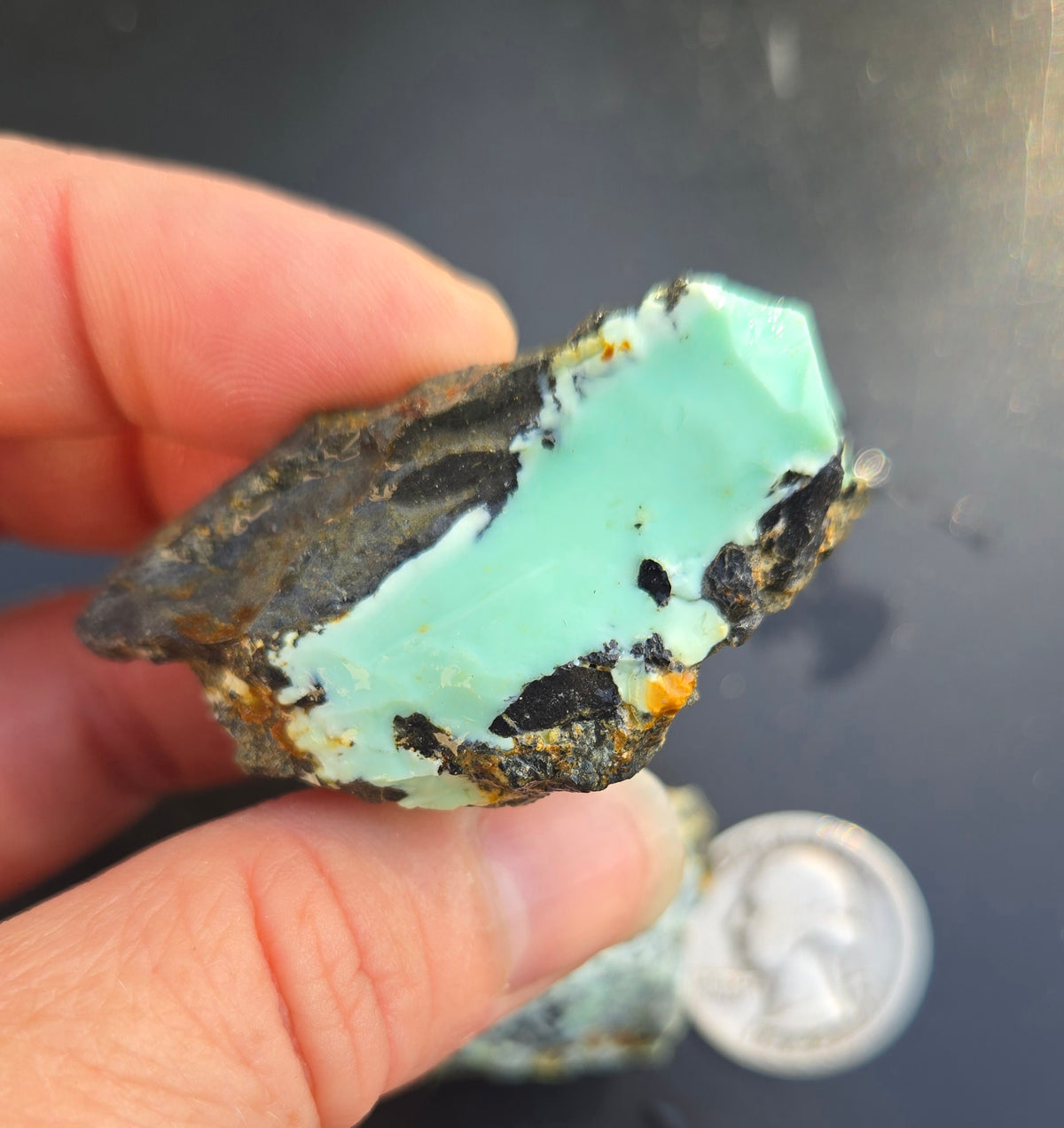 Gecko Variscite rough for cabbing -Natural Nevada Variscite- 100 grams lot 5