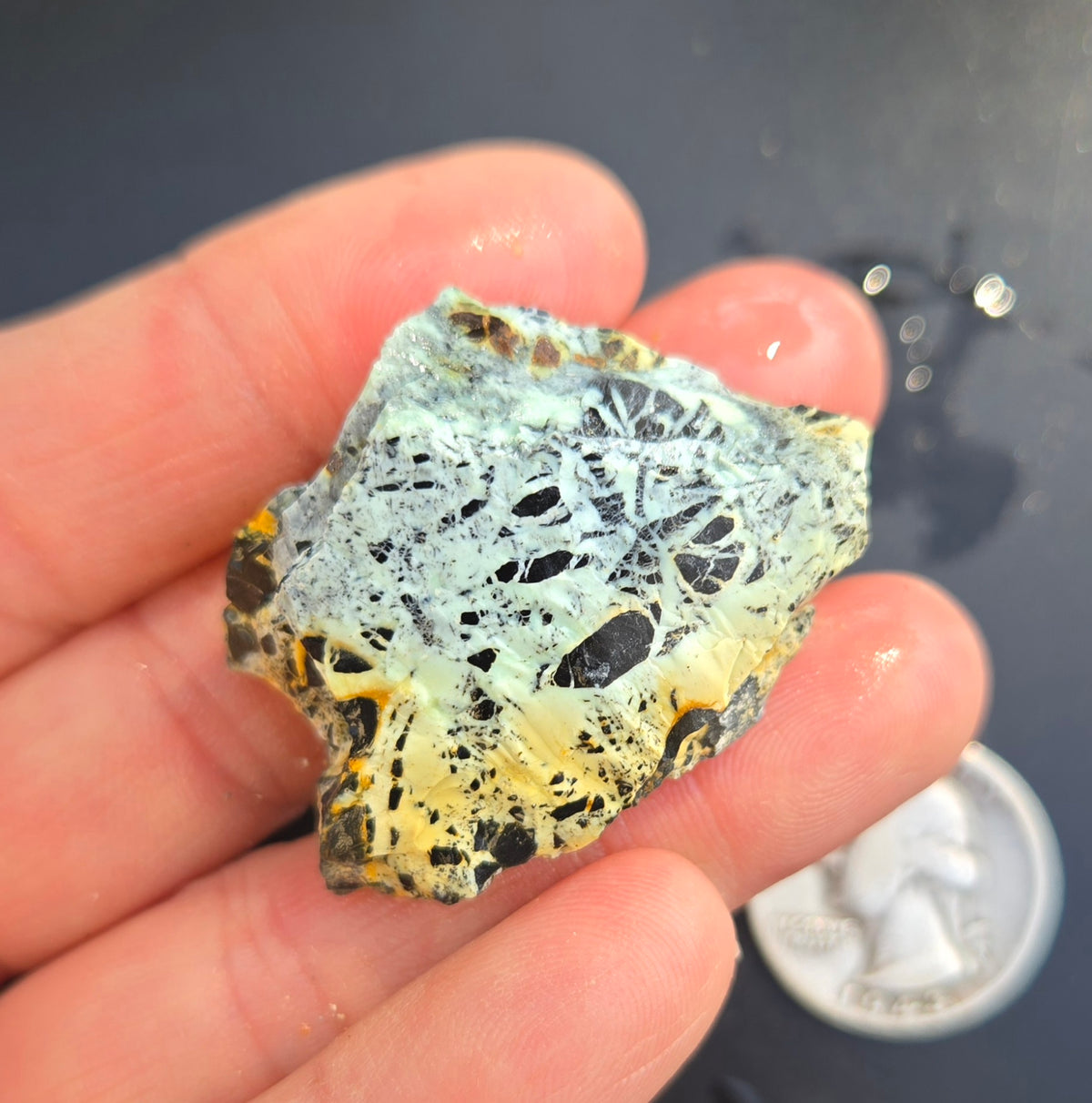 Gecko Variscite rough for cabbing -Natural Nevada Variscite- 100 grams lot 5