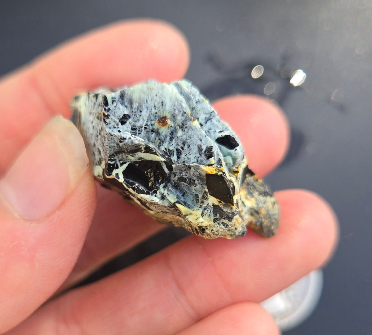 Gecko Variscite rough for cabbing -Natural Nevada Variscite- 100 grams lot 5