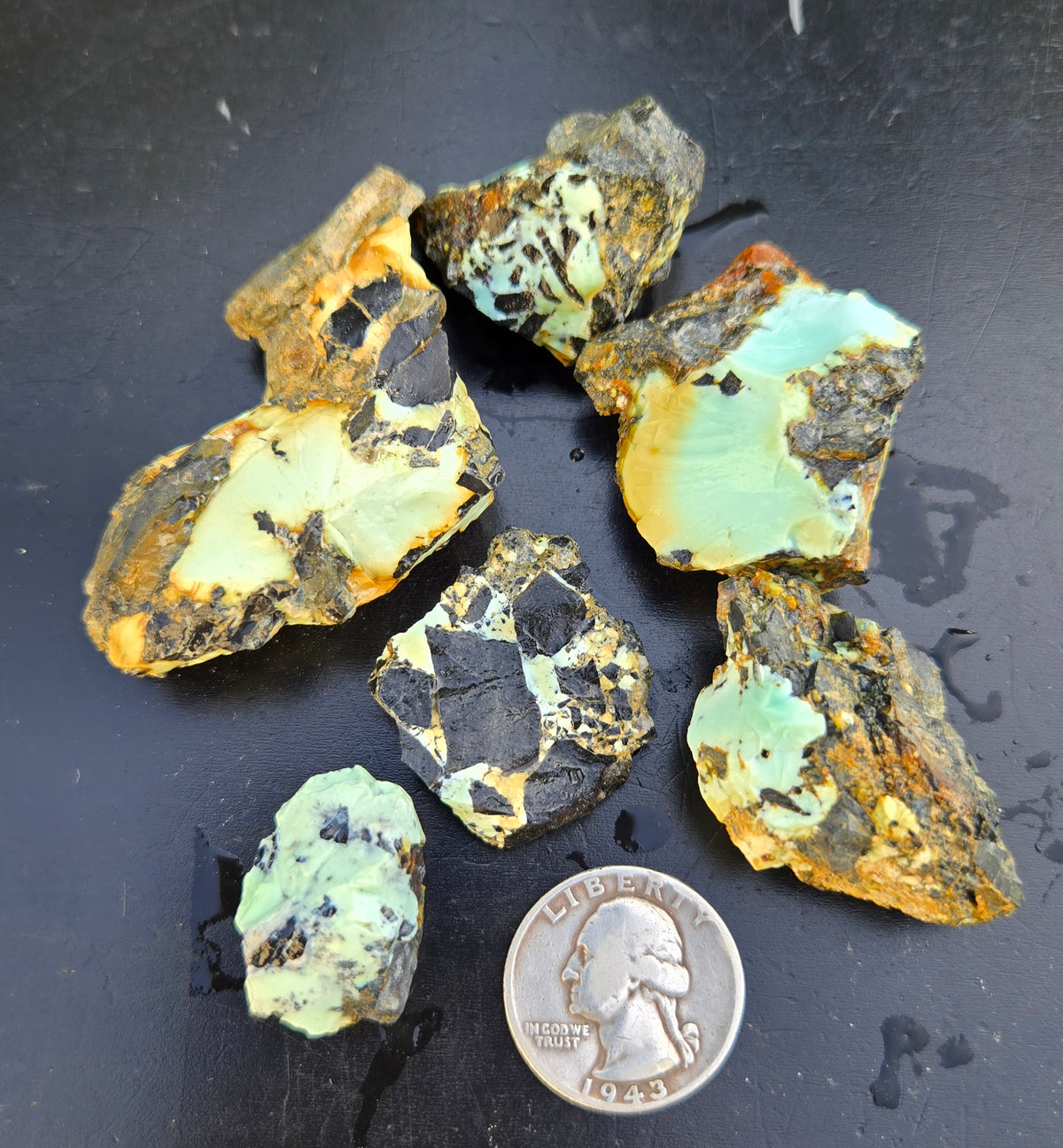 Gecko Variscite rough for cabbing -Natural Nevada Variscite- 100 grams lot 6
