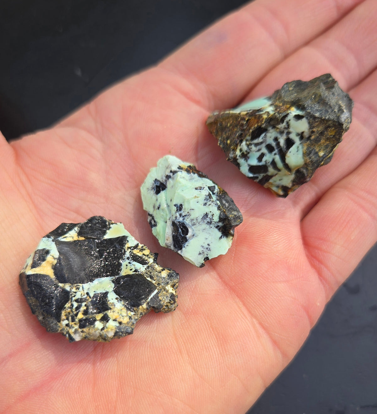 Gecko Variscite rough for cabbing -Natural Nevada Variscite- 100 grams lot 6