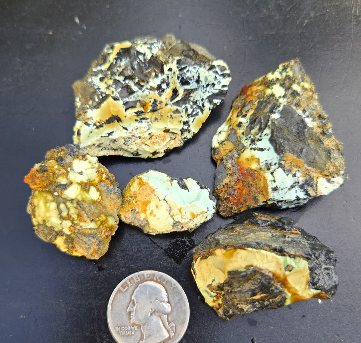 Gecko Variscite rough for cabbing -Natural Nevada Variscite- 100 grams lot 7