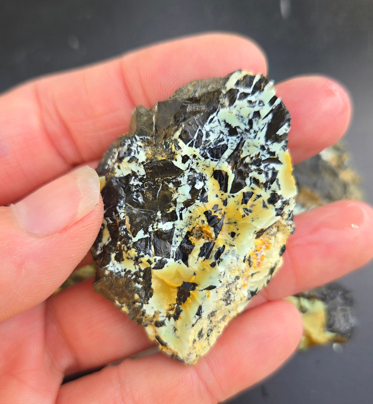 Gecko Variscite rough for cabbing -Natural Nevada Variscite- 100 grams lot 7