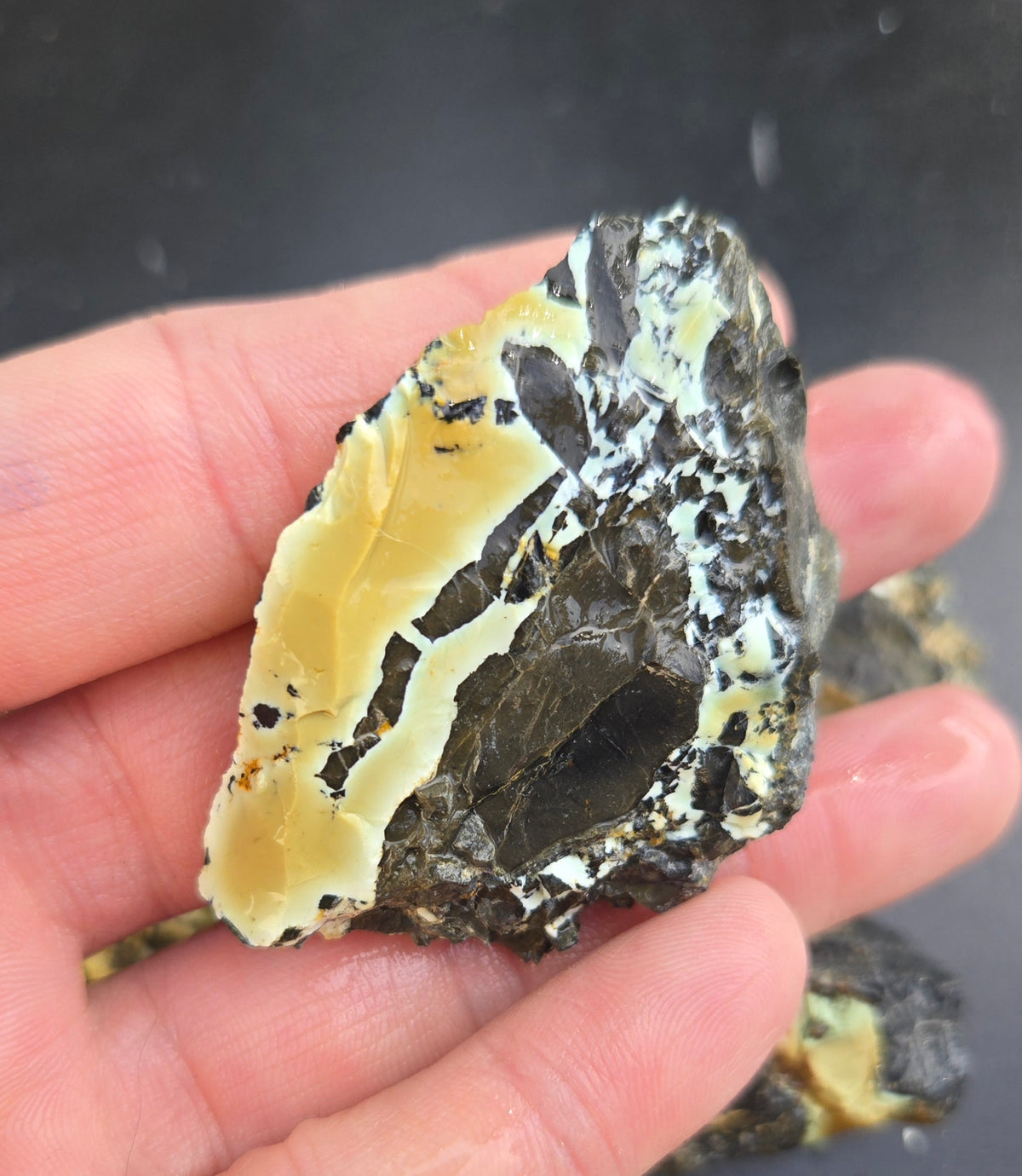 Gecko Variscite rough for cabbing -Natural Nevada Variscite- 100 grams lot 7