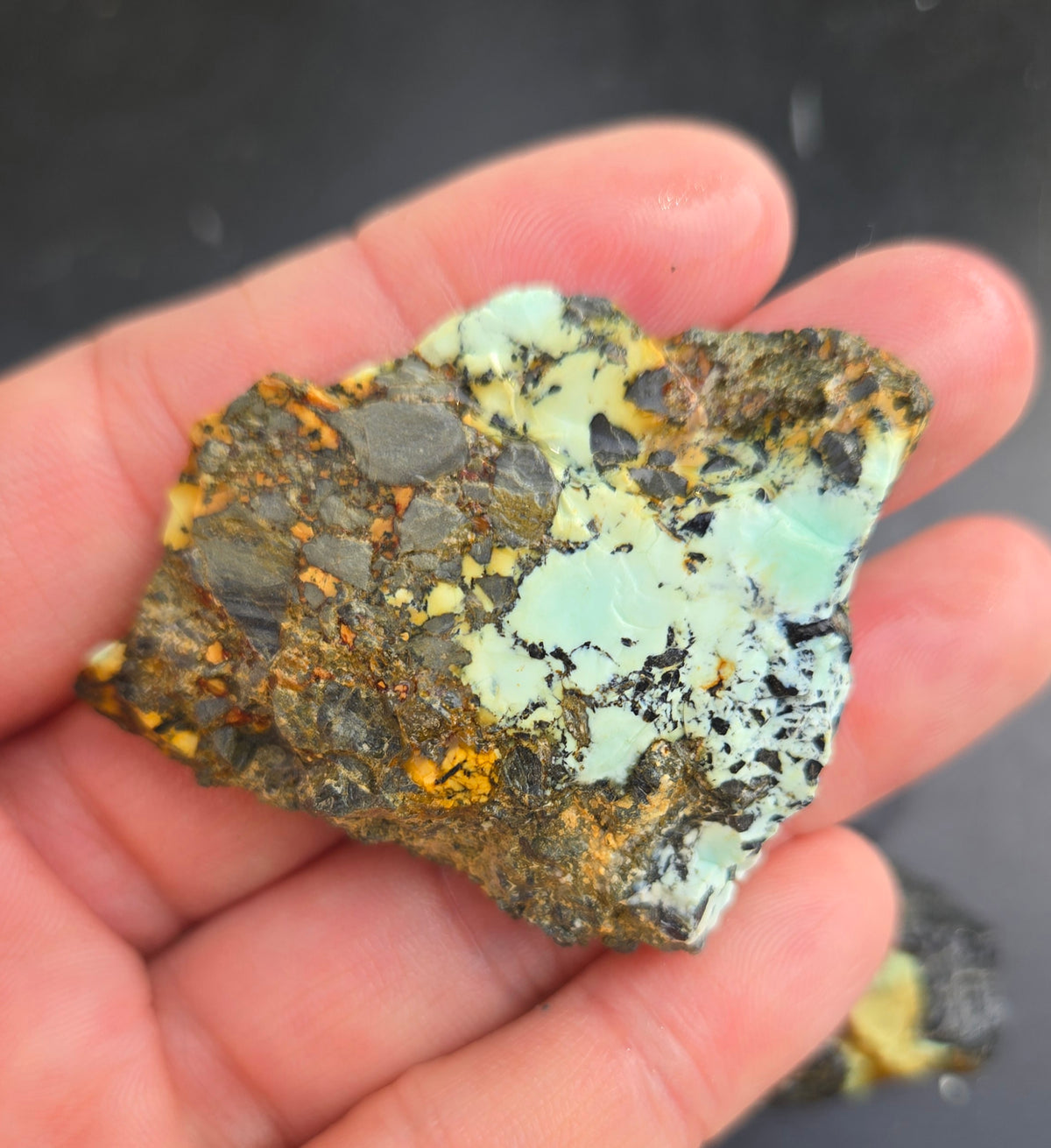 Gecko Variscite rough for cabbing -Natural Nevada Variscite- 100 grams lot 7