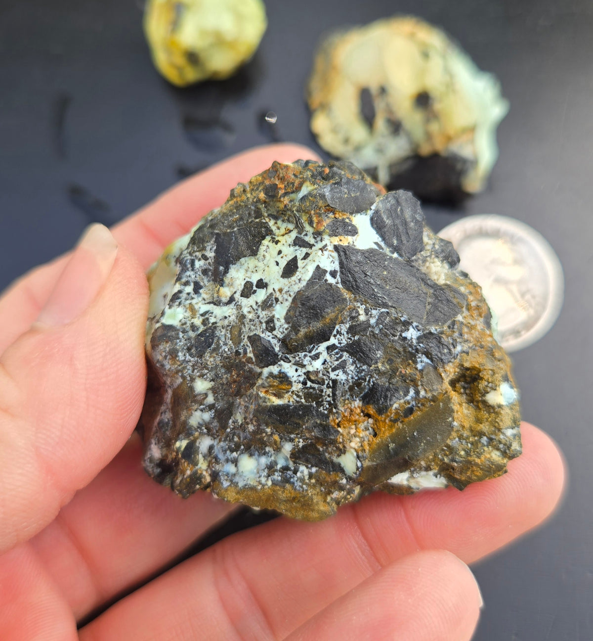 Gecko Variscite rough for cabbing -Natural Nevada Variscite- 100 grams lot 8