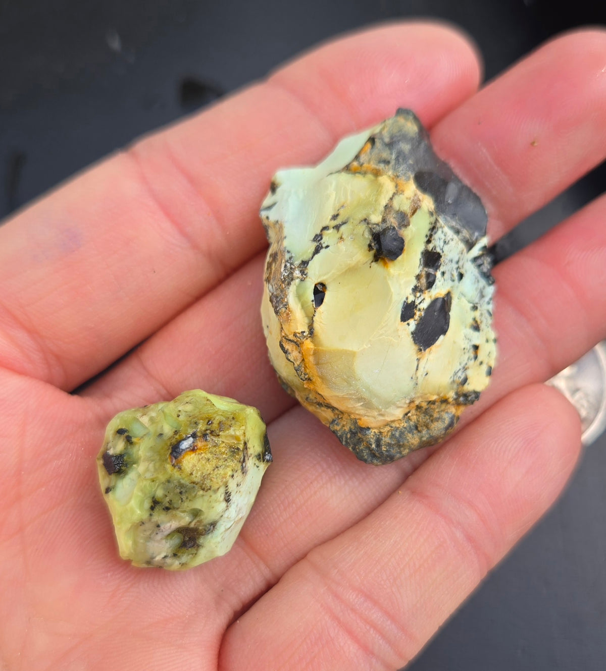 Gecko Variscite rough for cabbing -Natural Nevada Variscite- 100 grams lot 8