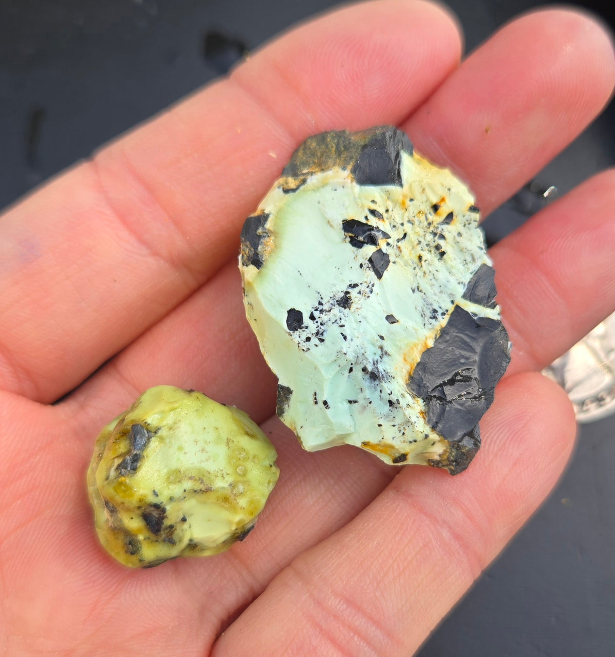 Gecko Variscite rough for cabbing -Natural Nevada Variscite- 100 grams lot 8