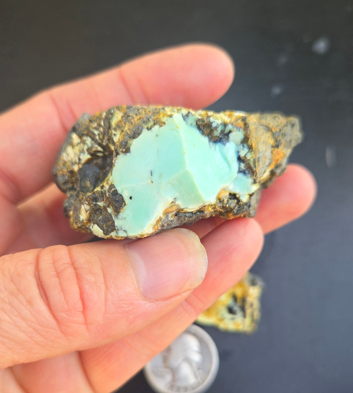 Gecko Variscite rough for cabbing -Natural Nevada Variscite- 100 grams lot 9
