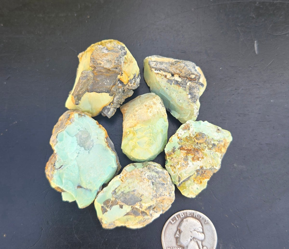 Gecko Variscite rough for cabbing -Natural Nevada Variscite- 100 grams lot 10