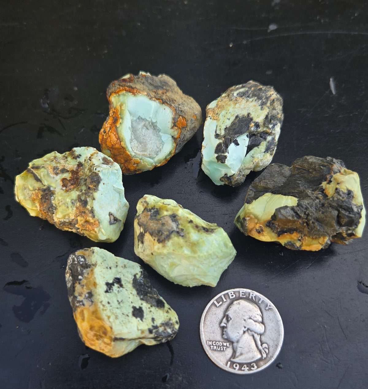 Gecko Variscite rough for cabbing -Natural Nevada Variscite- 100 grams lot 10
