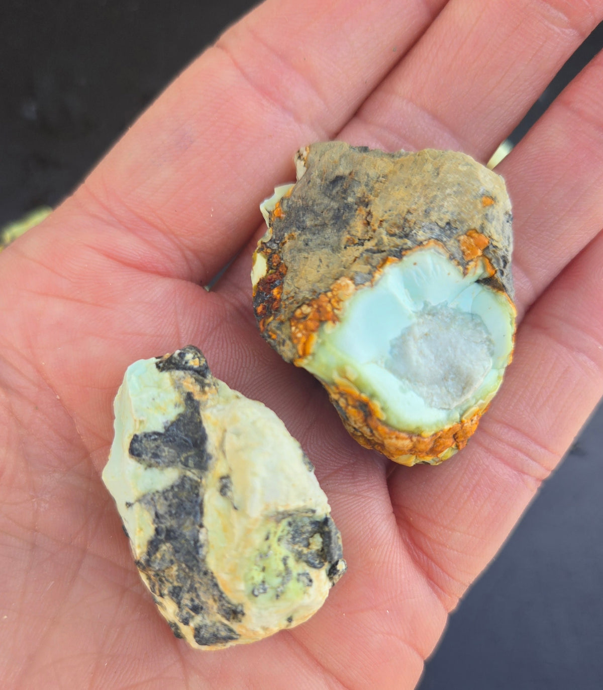 Gecko Variscite rough for cabbing -Natural Nevada Variscite- 100 grams lot 10