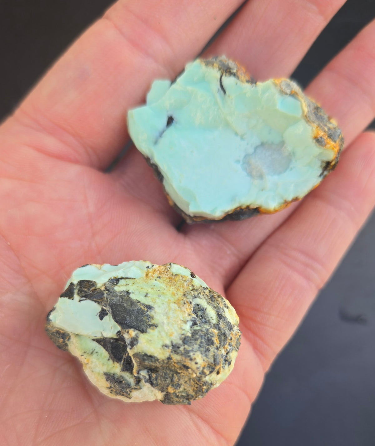 Gecko Variscite rough for cabbing -Natural Nevada Variscite- 100 grams lot 10