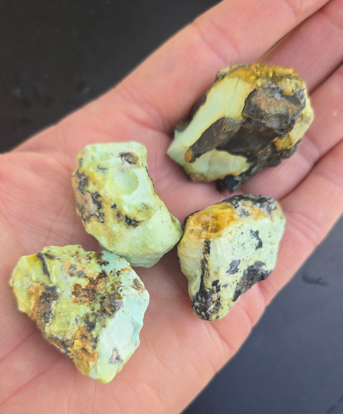 Gecko Variscite rough for cabbing -Natural Nevada Variscite- 100 grams lot 10