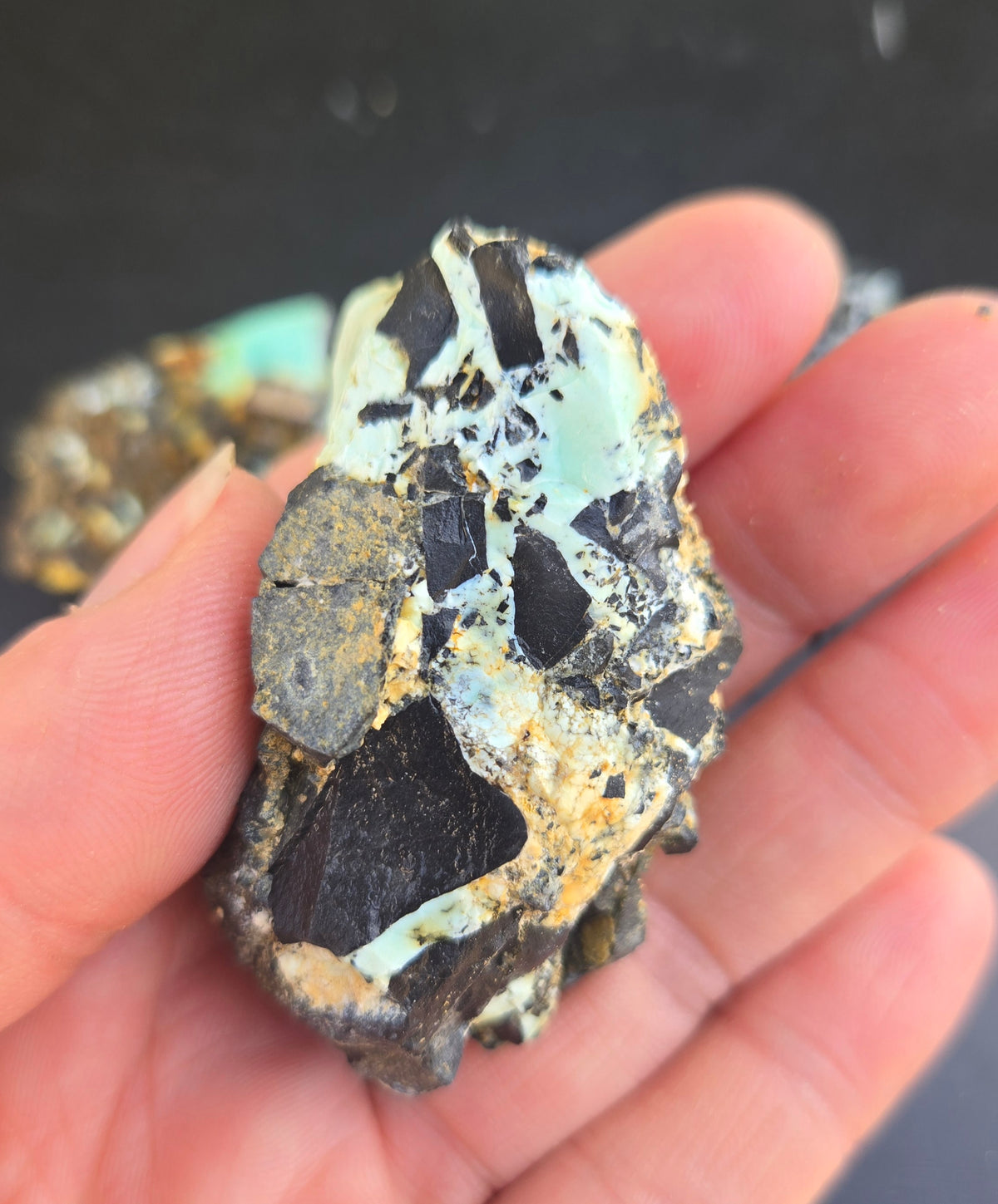 Gecko Variscite rough for cabbing -Natural Nevada Variscite- 100 grams lot 11