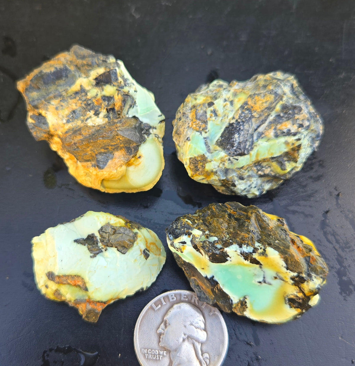 Gecko Variscite rough for cabbing -Natural Nevada Variscite- 100 grams lot 12