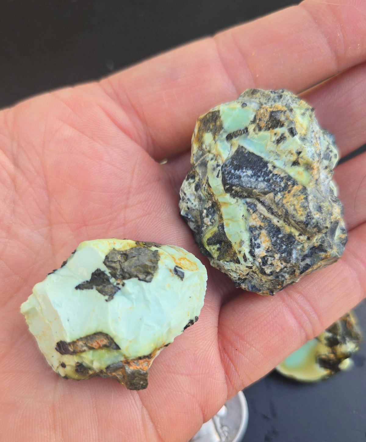 Gecko Variscite rough for cabbing -Natural Nevada Variscite- 100 grams lot 12