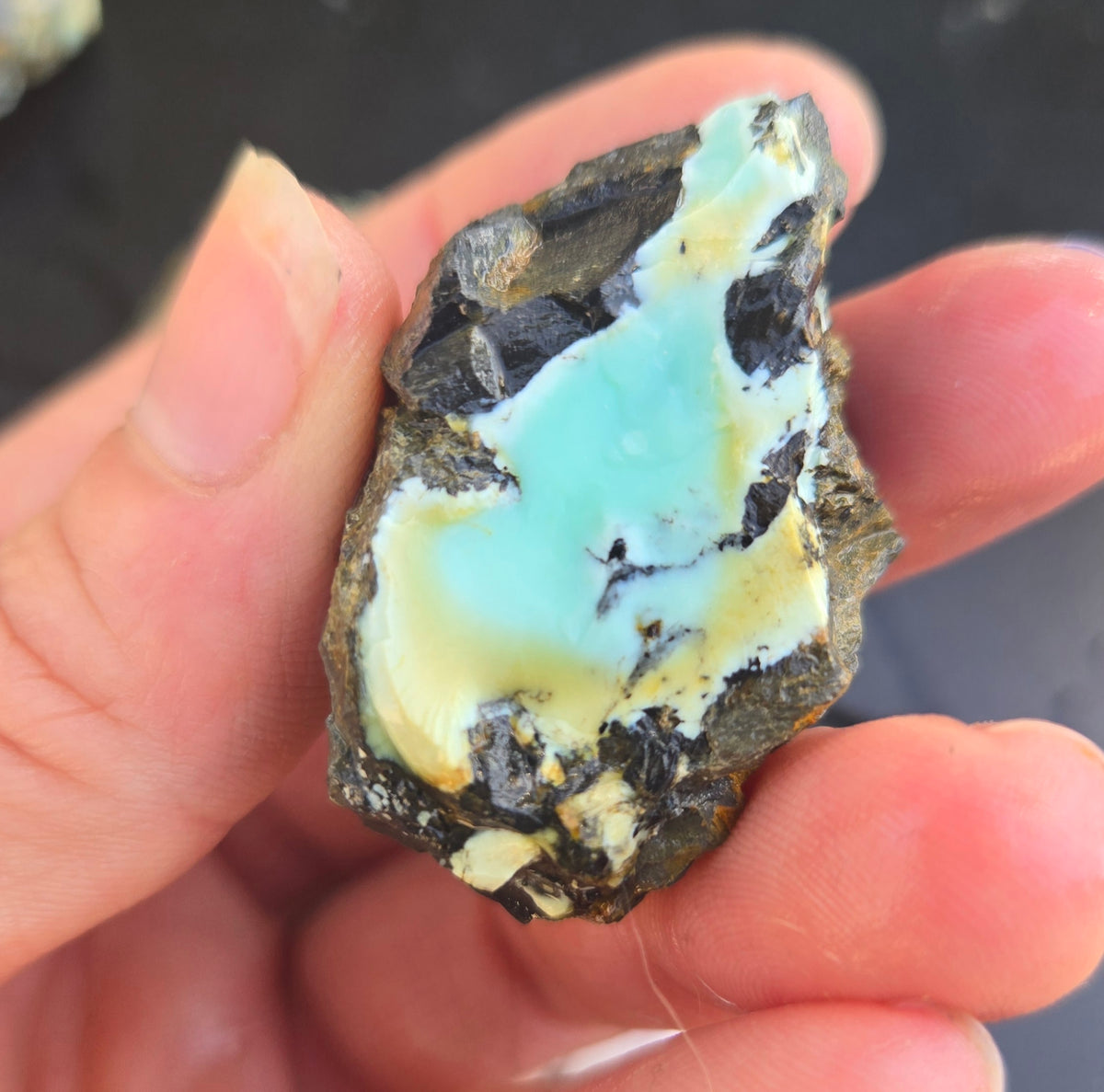 Gecko Variscite rough for cabbing -Natural Nevada Variscite- 100 grams lot 12