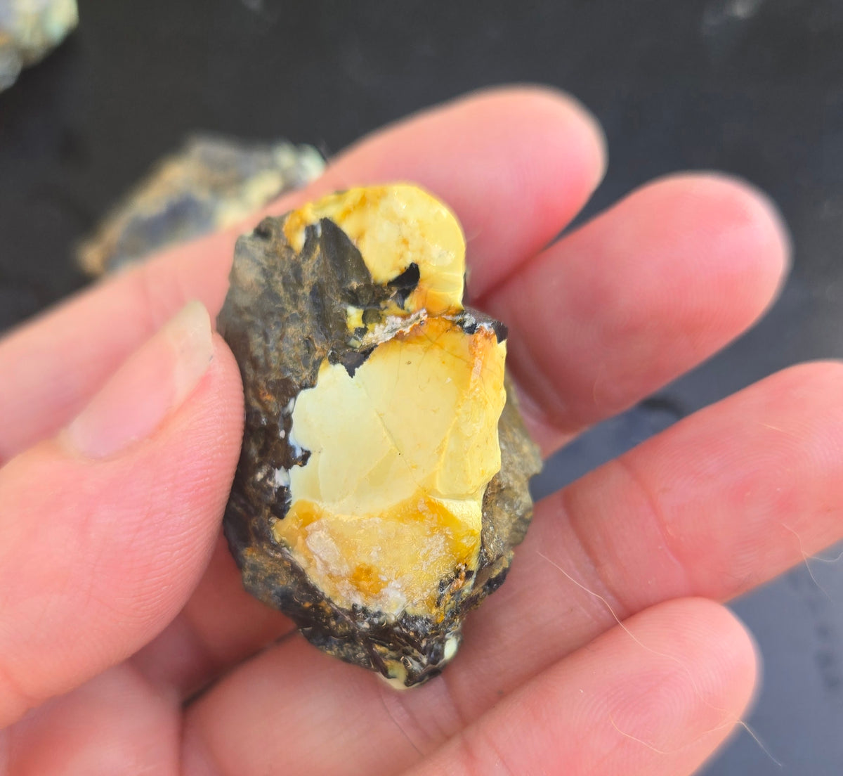 Gecko Variscite rough for cabbing -Natural Nevada Variscite- 100 grams lot 12