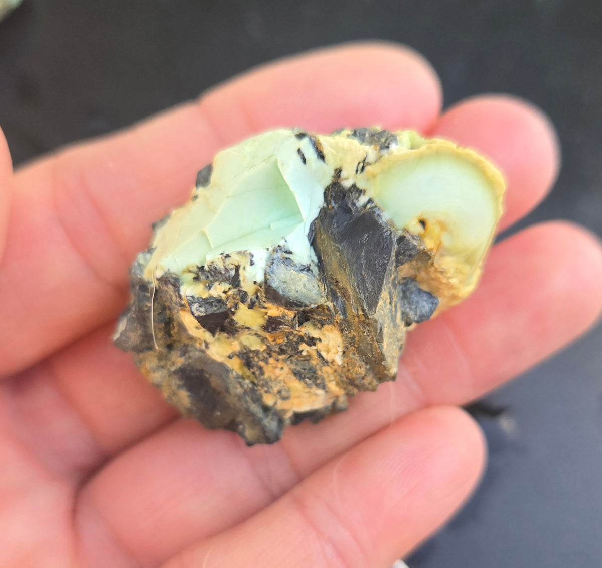 Gecko Variscite rough for cabbing -Natural Nevada Variscite- 100 grams lot 12