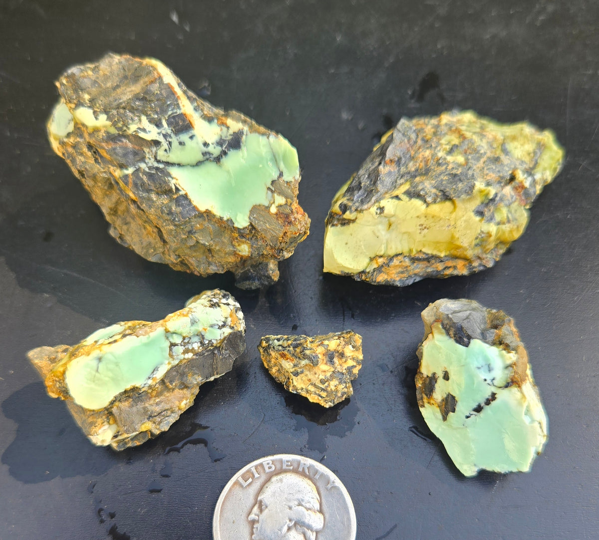 Gecko Variscite rough for cabbing -Natural Nevada Variscite- 100 grams lot 13