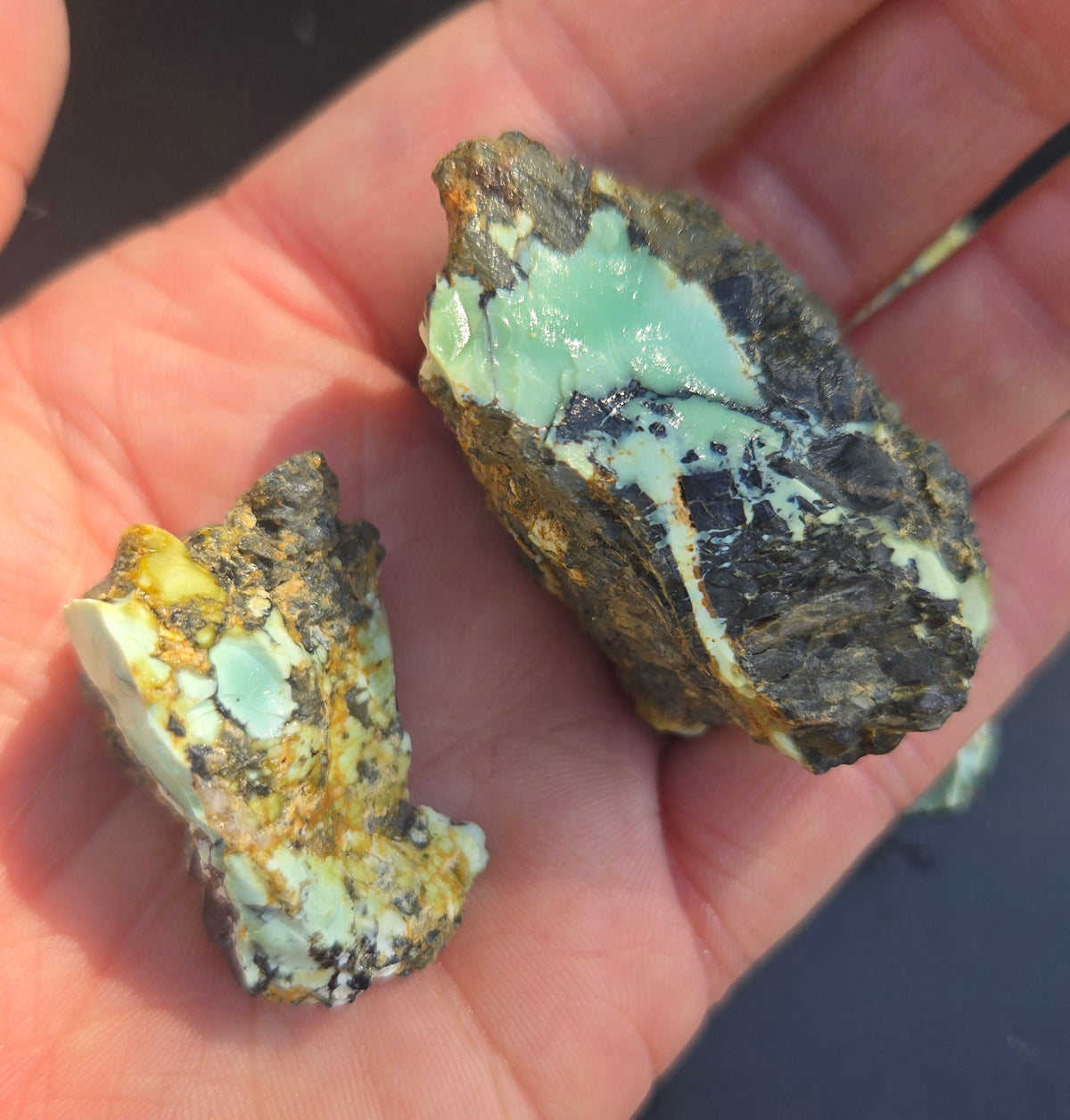 Gecko Variscite rough for cabbing -Natural Nevada Variscite- 100 grams lot 13