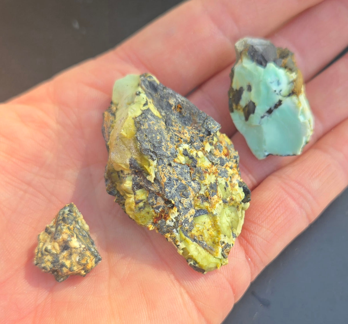 Gecko Variscite rough for cabbing -Natural Nevada Variscite- 100 grams lot 13