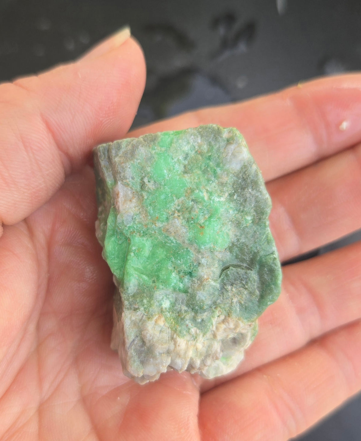 Lucin Variscite Rough for cabbing - Natural Utah Variscite- 480 gram lot
