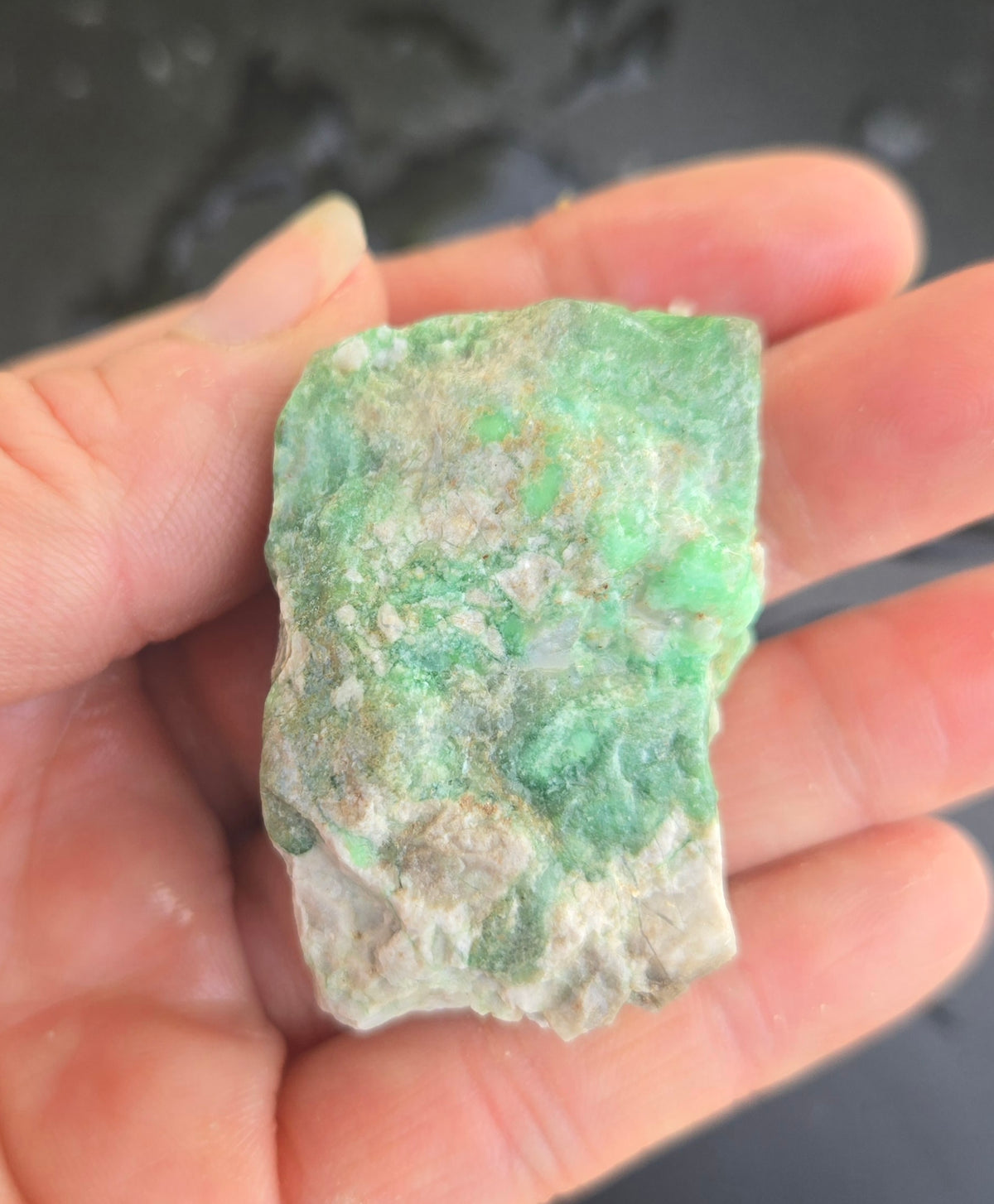 Lucin Variscite Rough for cabbing - Natural Utah Variscite- 480 gram lot