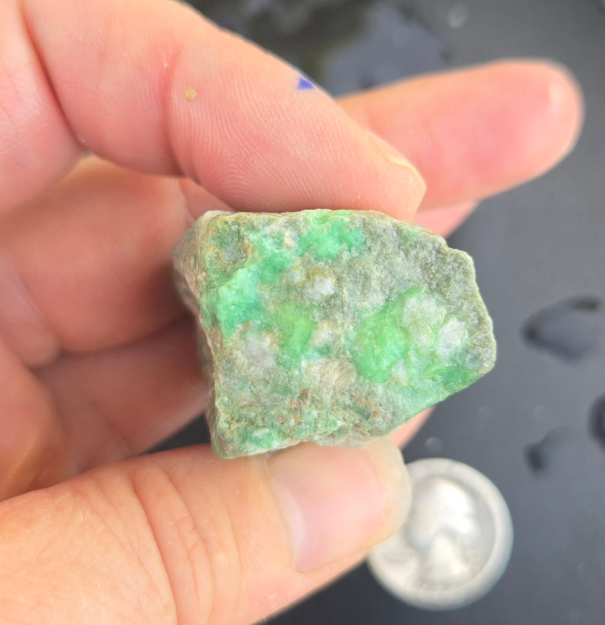 Lucin Variscite Rough for cabbing - Natural Utah Variscite- 480 gram lot