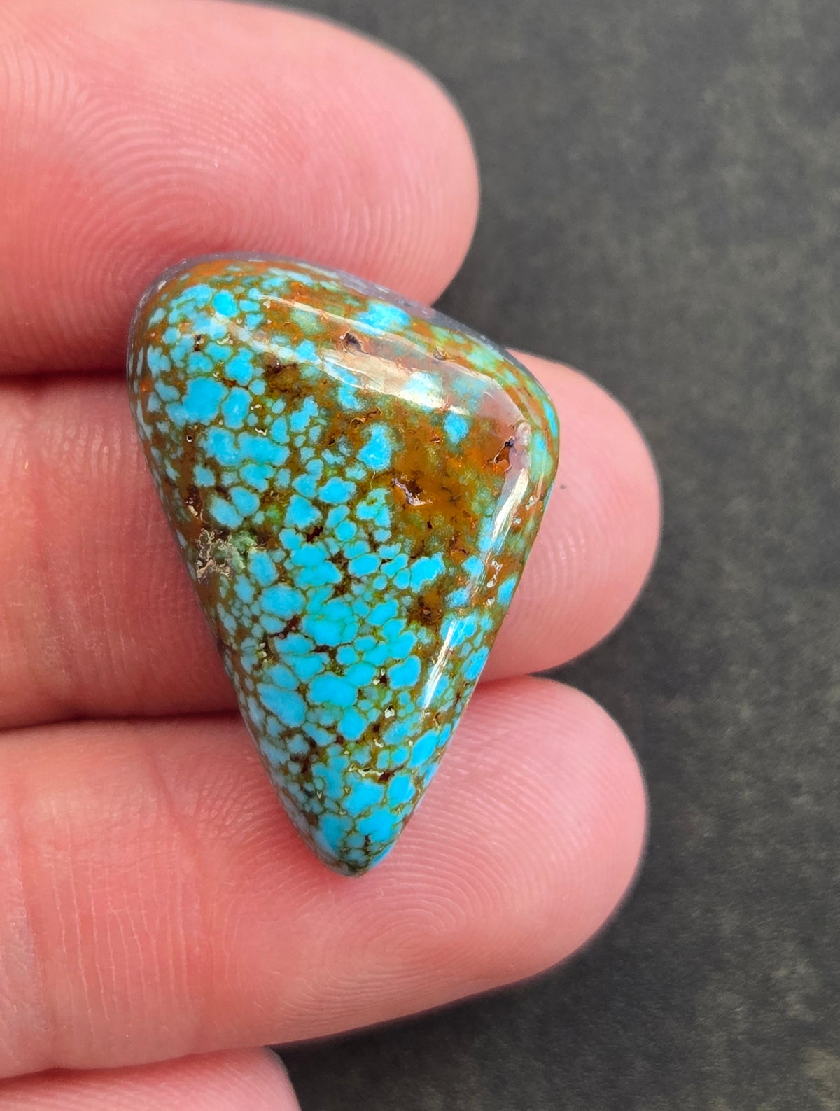 AAA Spiderweb Polychrome Kingman Turquoise Cabochon