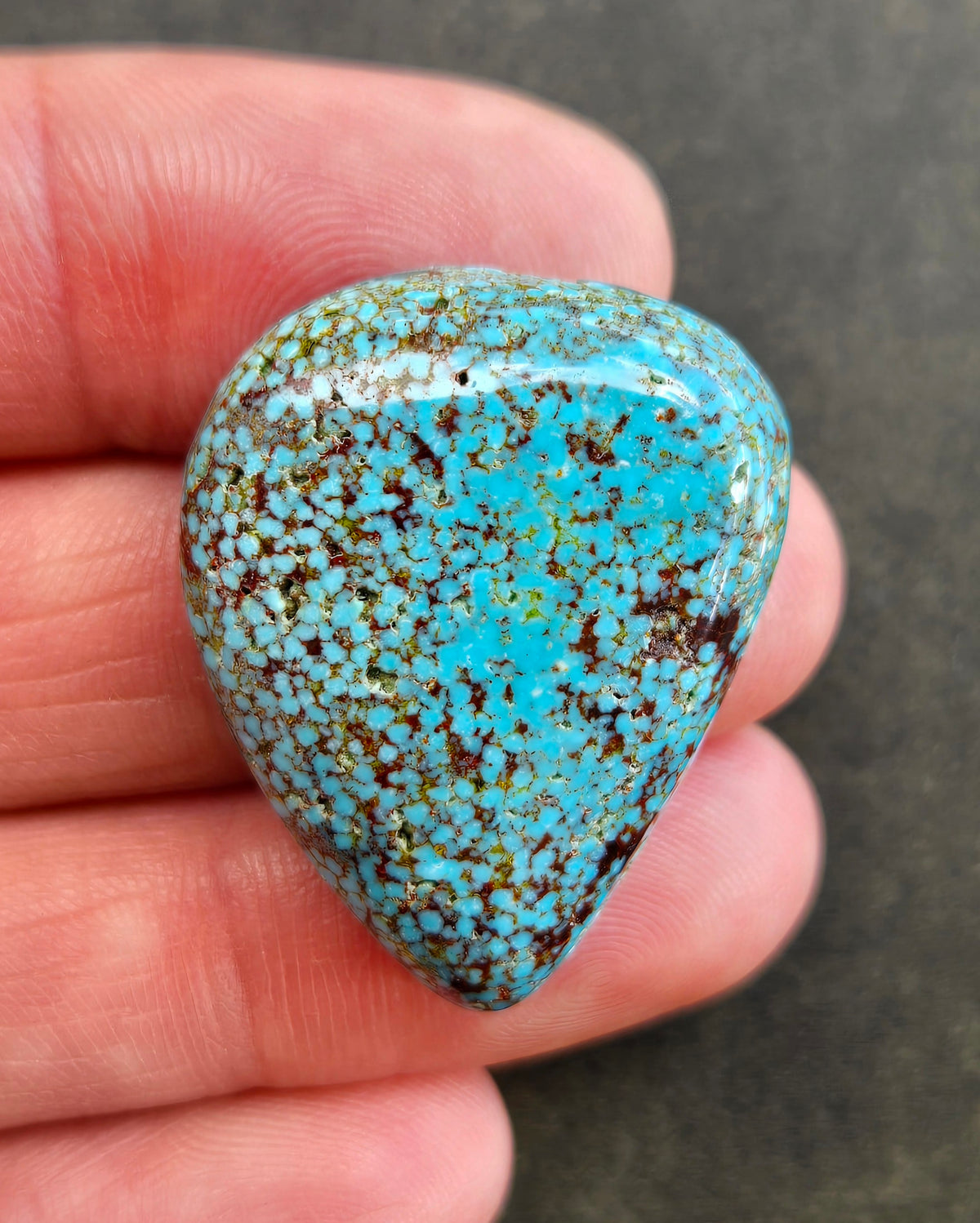 AAA Spiderweb Polychrome Kingman Turquoise Cabochon