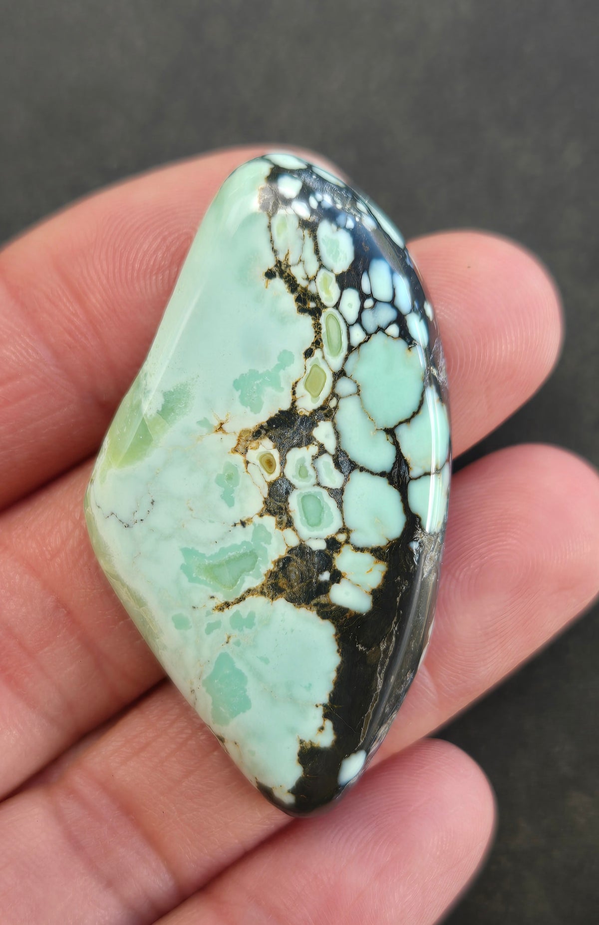 Seven Dwarfs Variscite Cabochon 7D