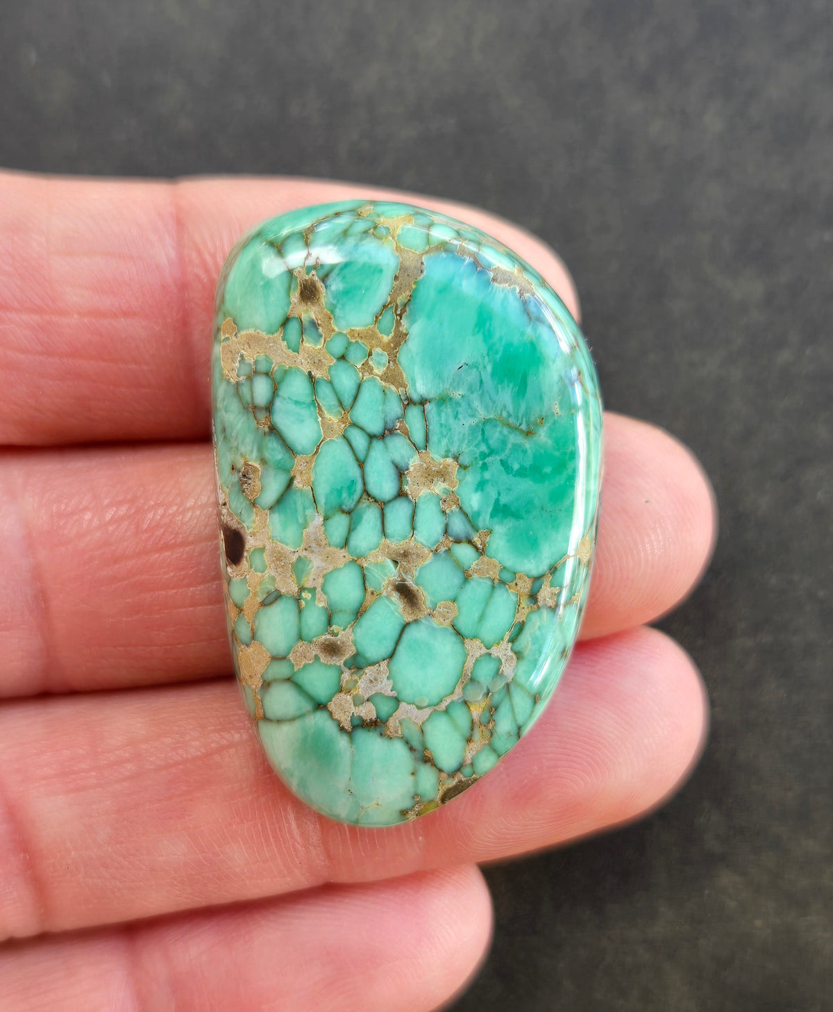 Broken Arrow Variscite Cabochon