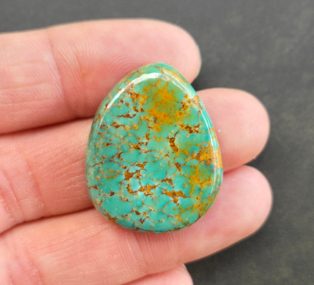 AAA Kingman Polychrome Ceremonial Turquoise Cabochon