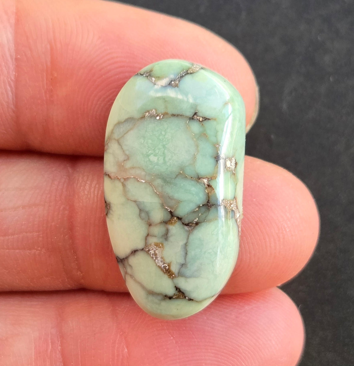 Damele Variscite Nugget Cabochon
