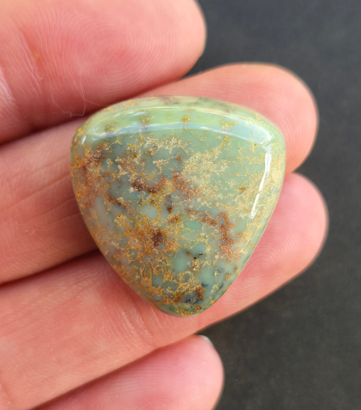 Aloe Variscite Cabochon